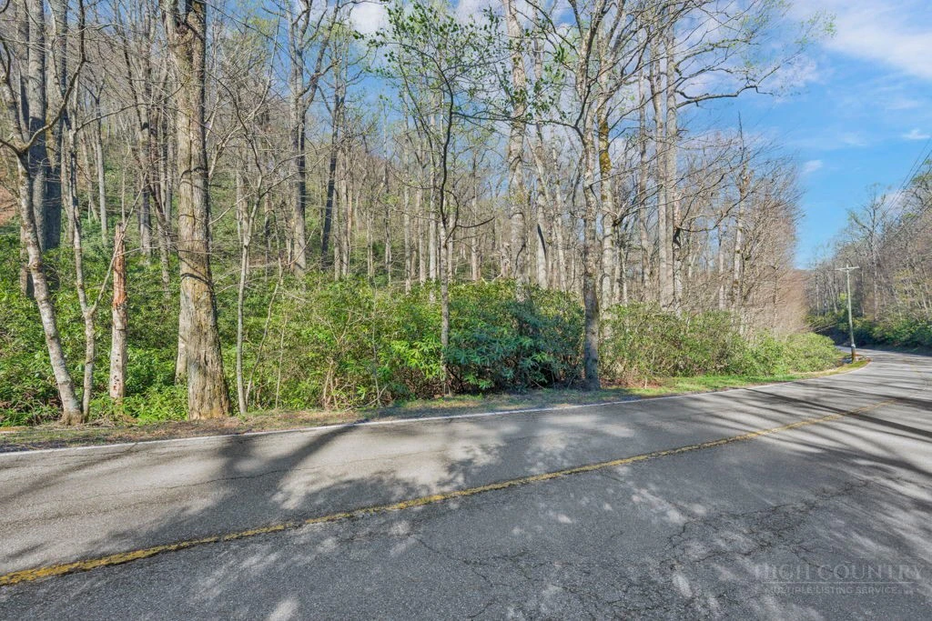 Image number 5 for the current listing