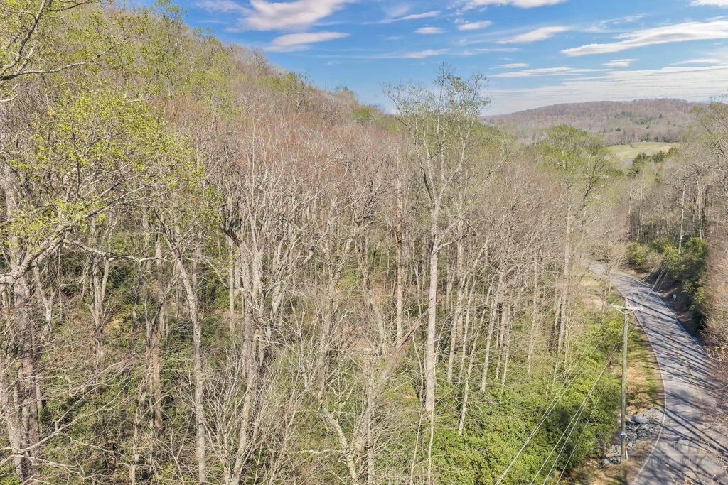 Image number 9 for the current listing