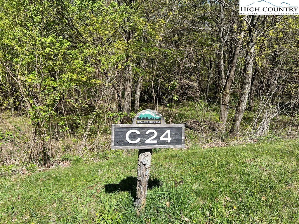 Image number 1 for the current listing
