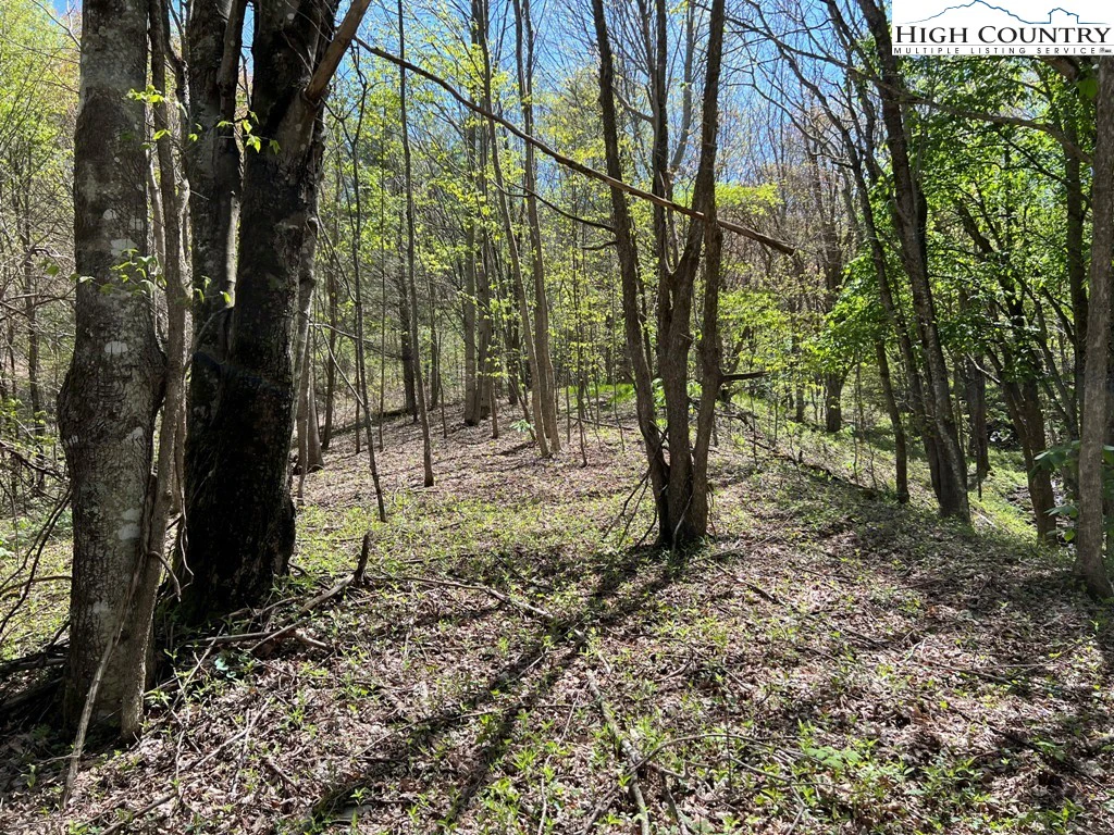 Image number 7 for the current listing
