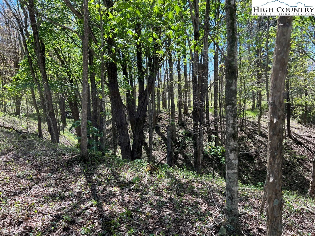 Image number 11 for the current listing