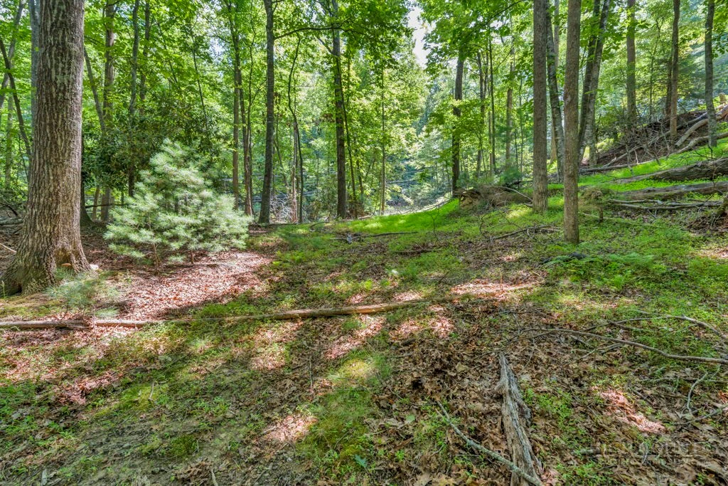 Image number 2 for the current listing