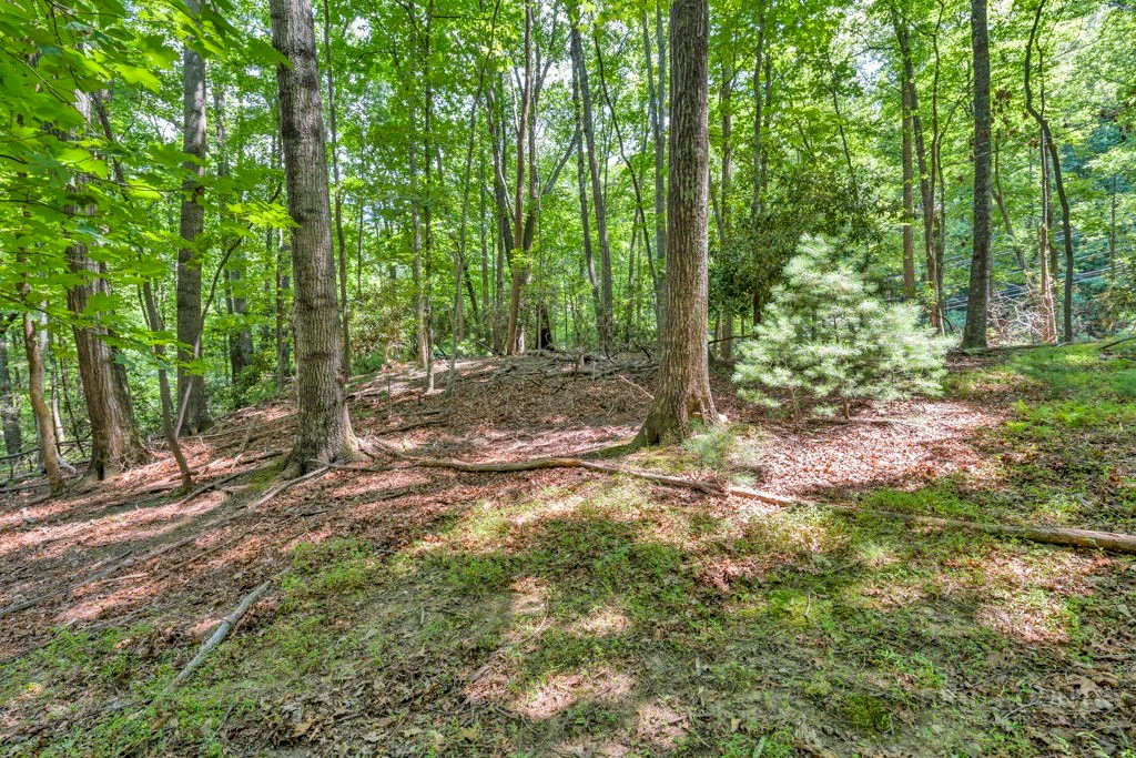 Image number 3 for the current listing