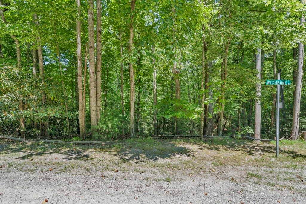 Image number 4 for the current listing