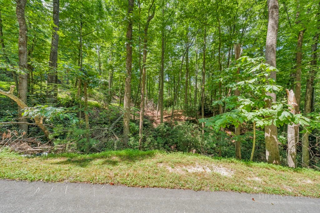 Image number 5 for the current listing
