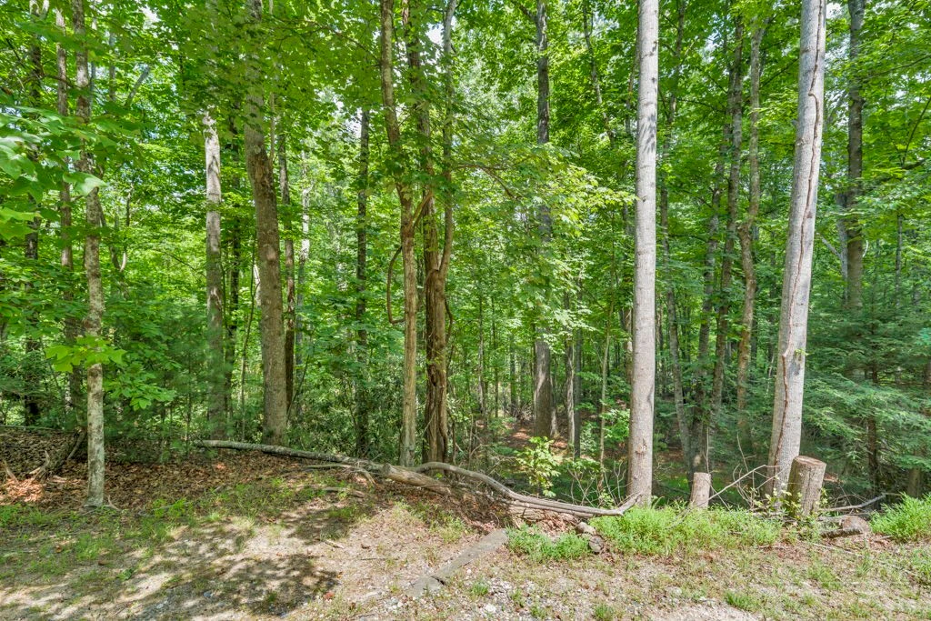 Image number 6 for the current listing