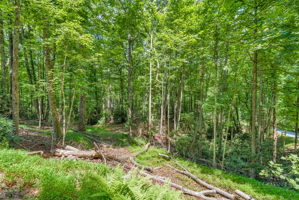 Image number 7 for the current listing