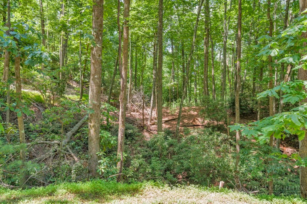 Image number 9 for the current listing