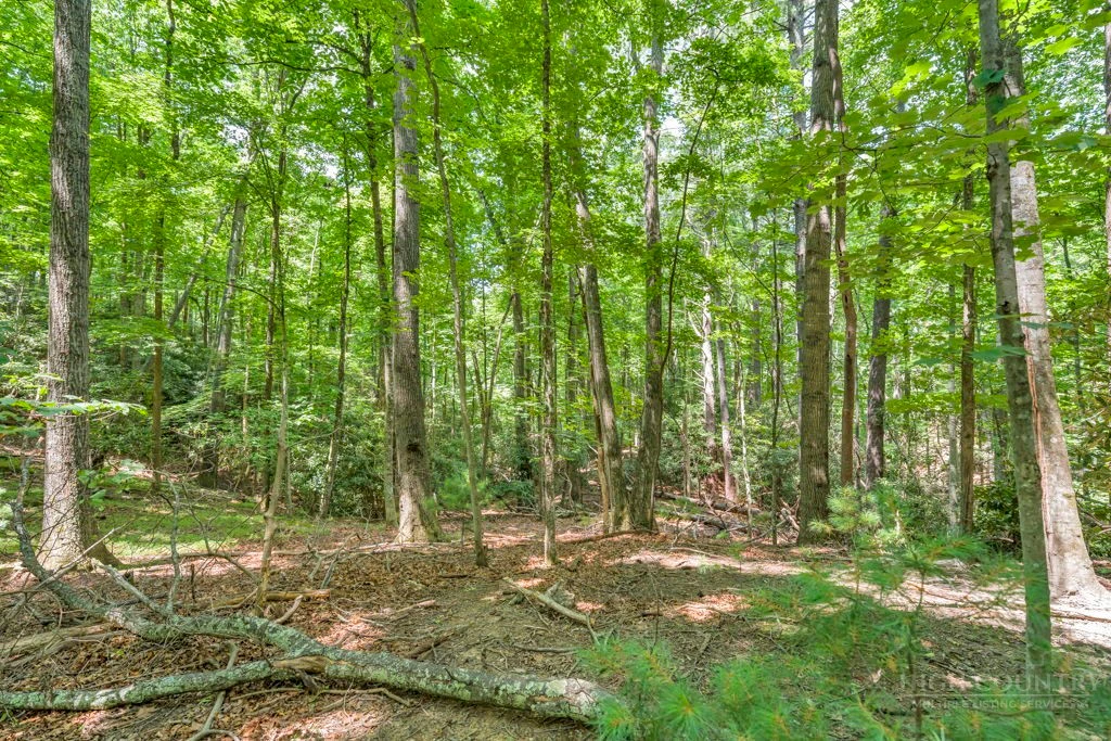 Image number 12 for the current listing