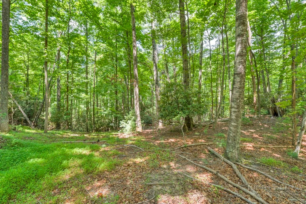 Image number 13 for the current listing