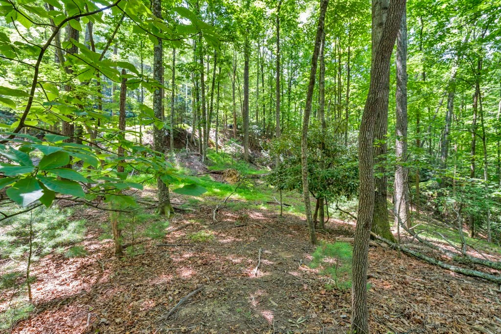Image number 15 for the current listing