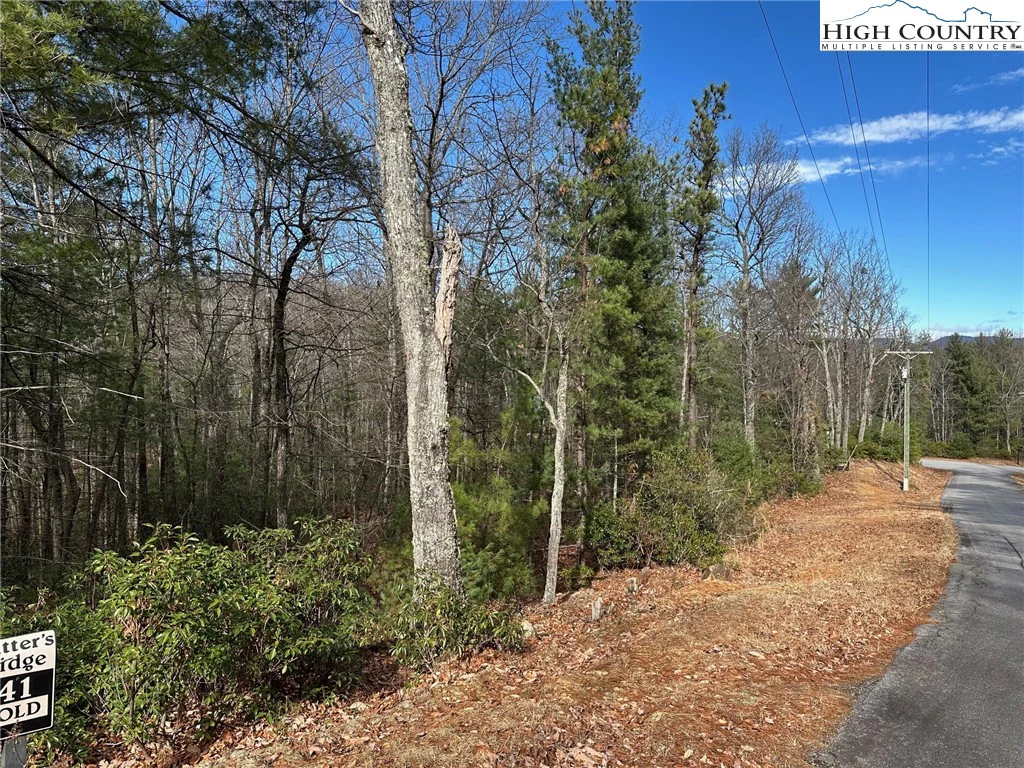 Image number 3 for the current listing