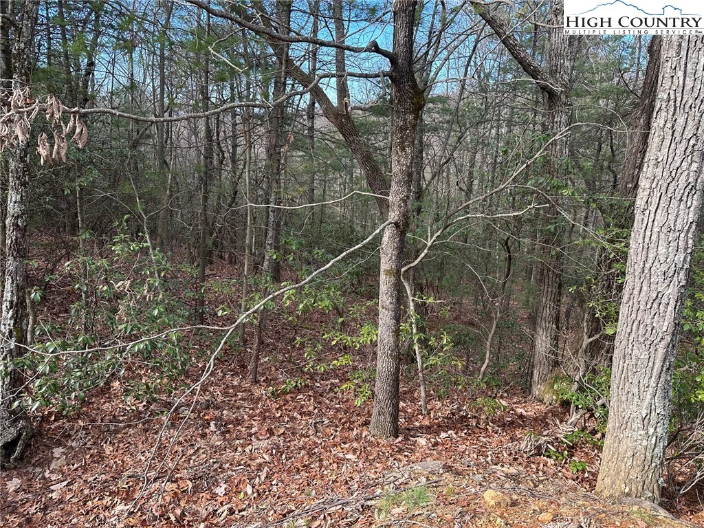 Image number 4 for the current listing