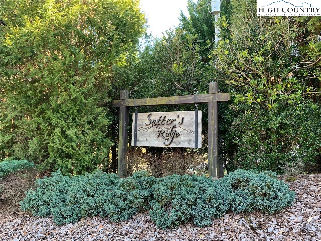 Image number 7 for the current listing