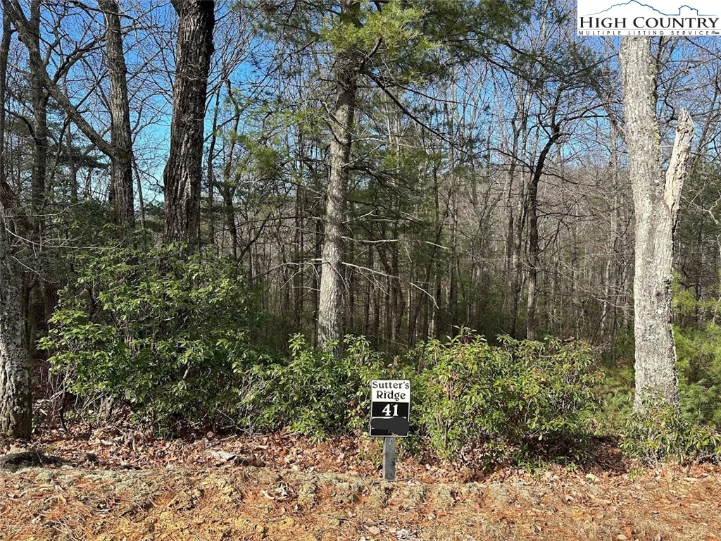 Image number 1 for the current listing