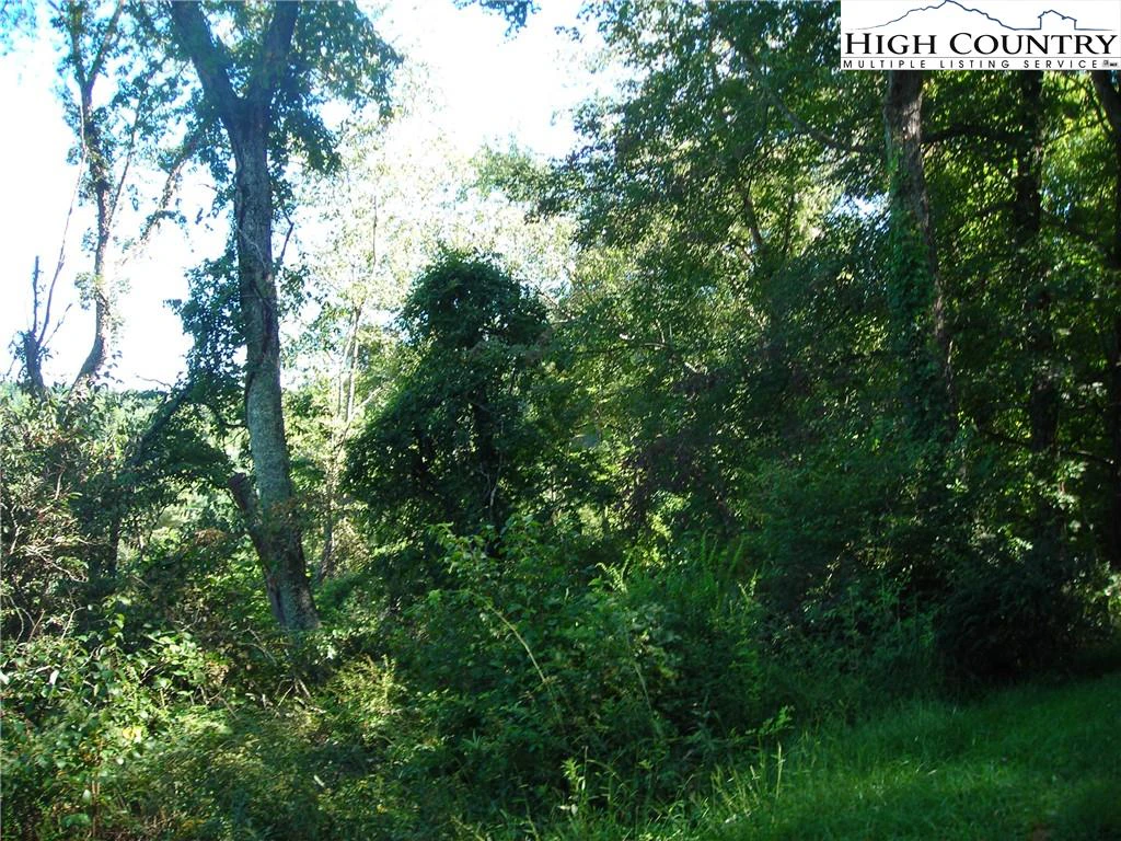 Image number 1 for the current listing
