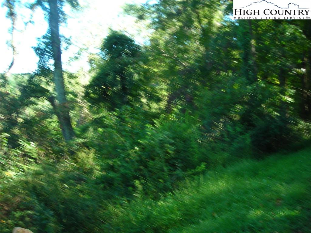 Image number 3 for the current listing