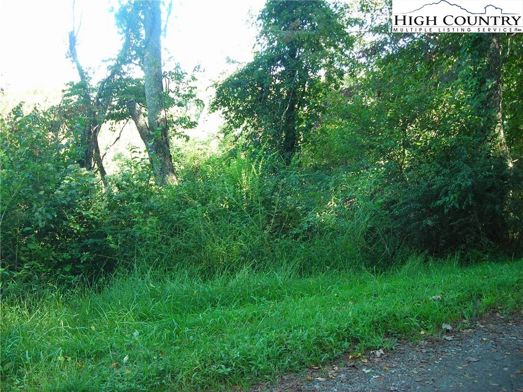 Image number 4 for the current listing