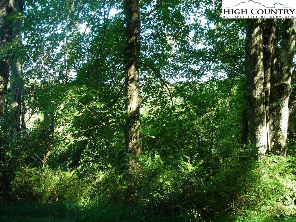 Image number 5 for the current listing