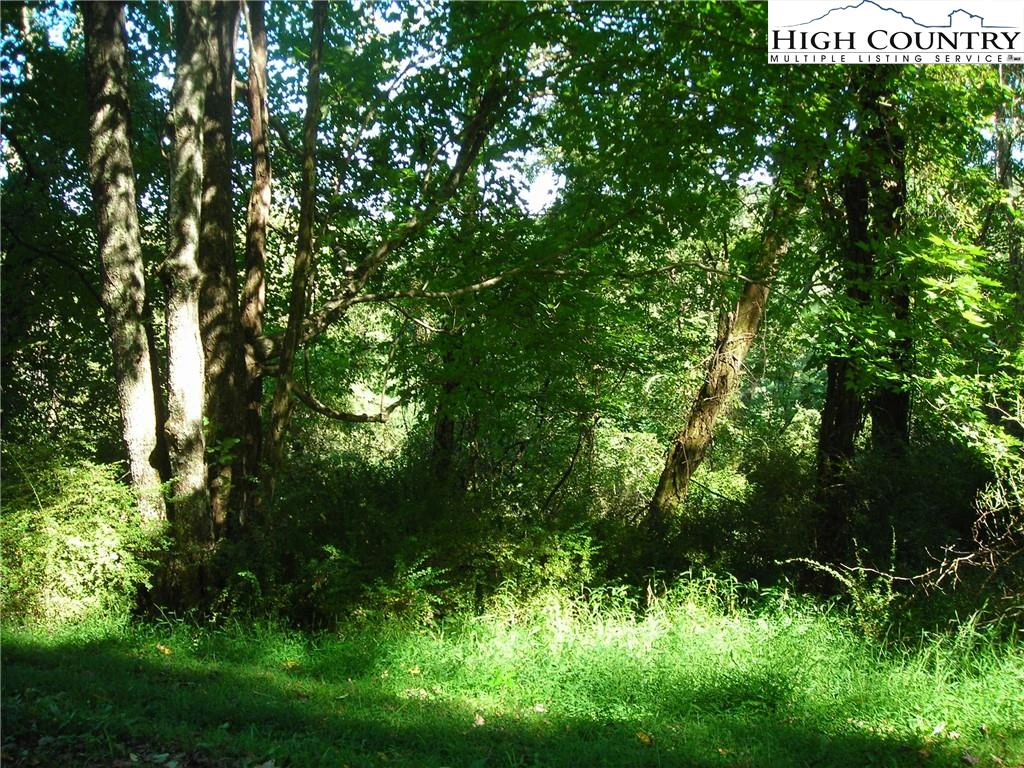 Image number 6 for the current listing