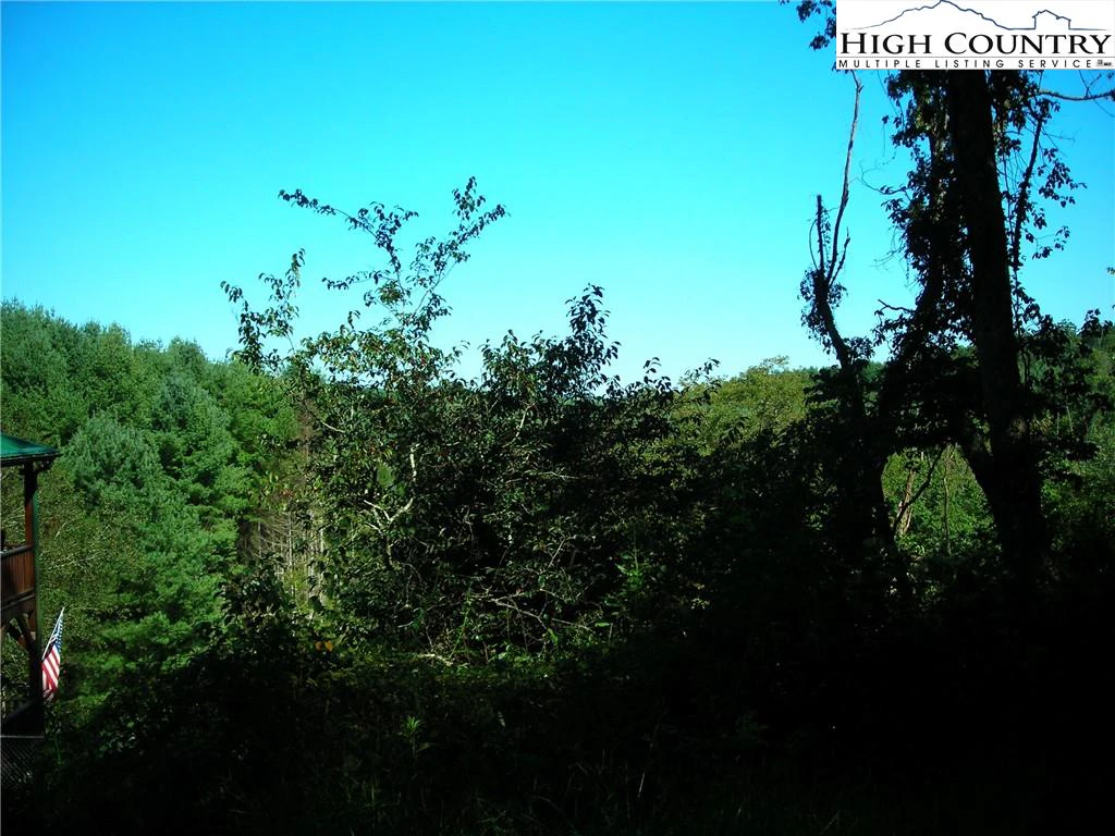 Image number 7 for the current listing