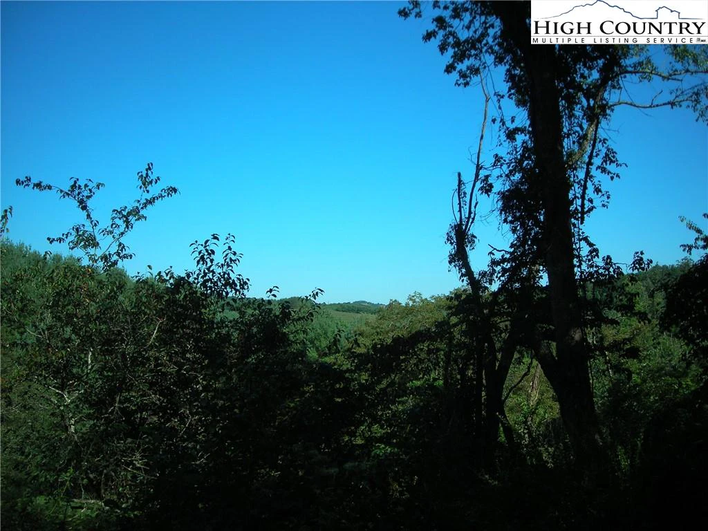 Image number 8 for the current listing