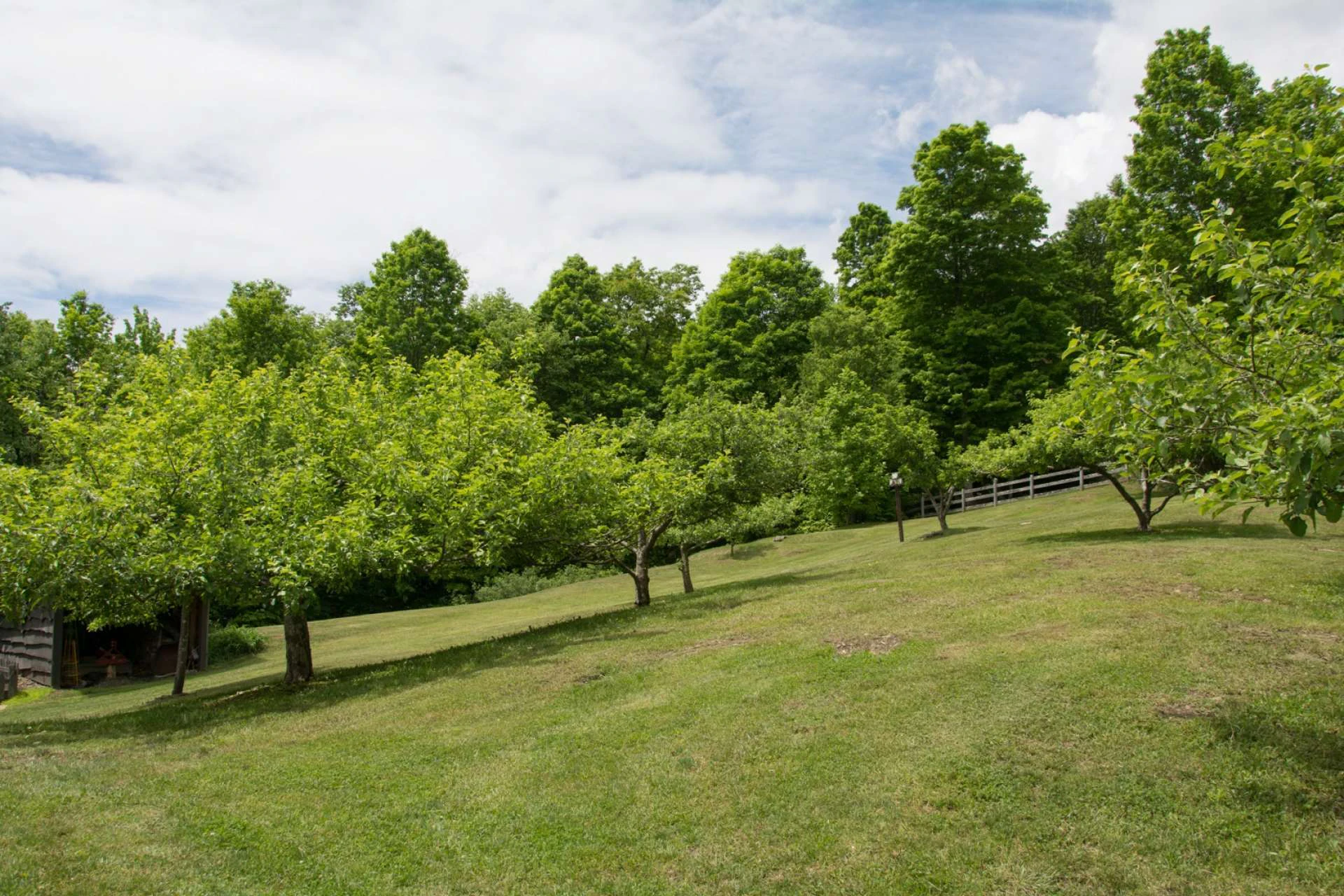 Image number 14 for the current listing