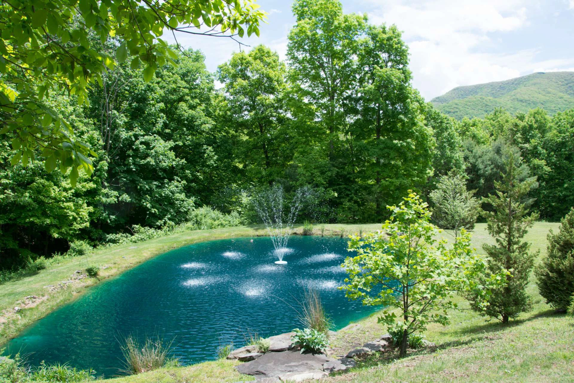 Image number 12 for the current listing
