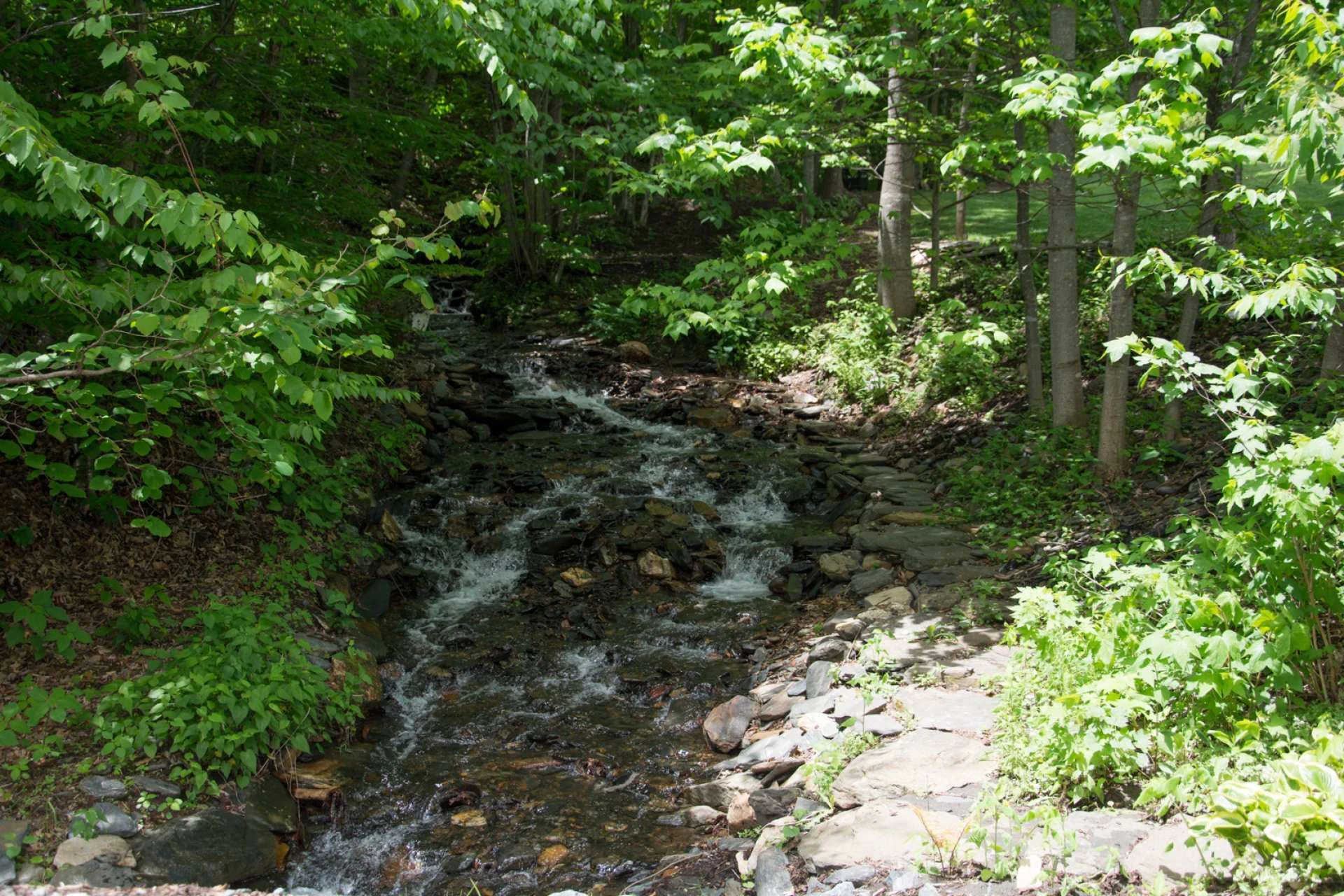 Image number 17 for the current listing