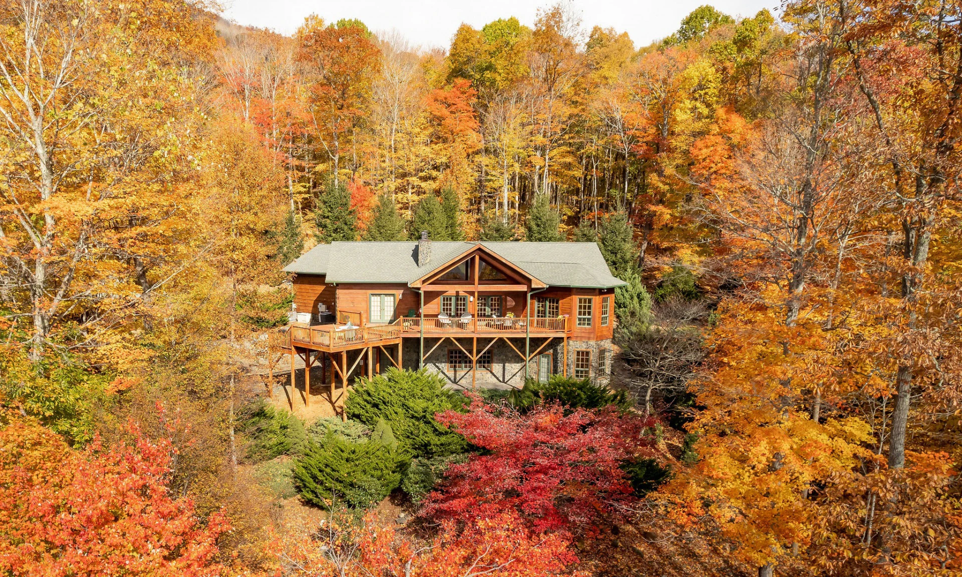 Image number 1 for the current listing