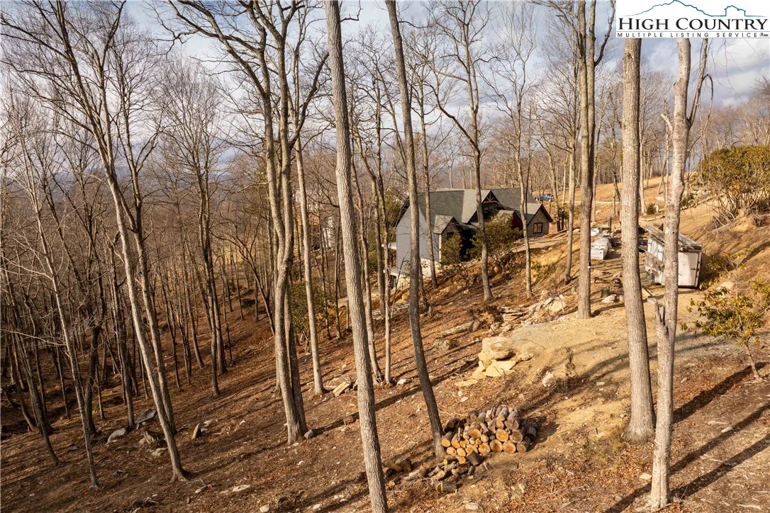 Image number 3 for the current listing