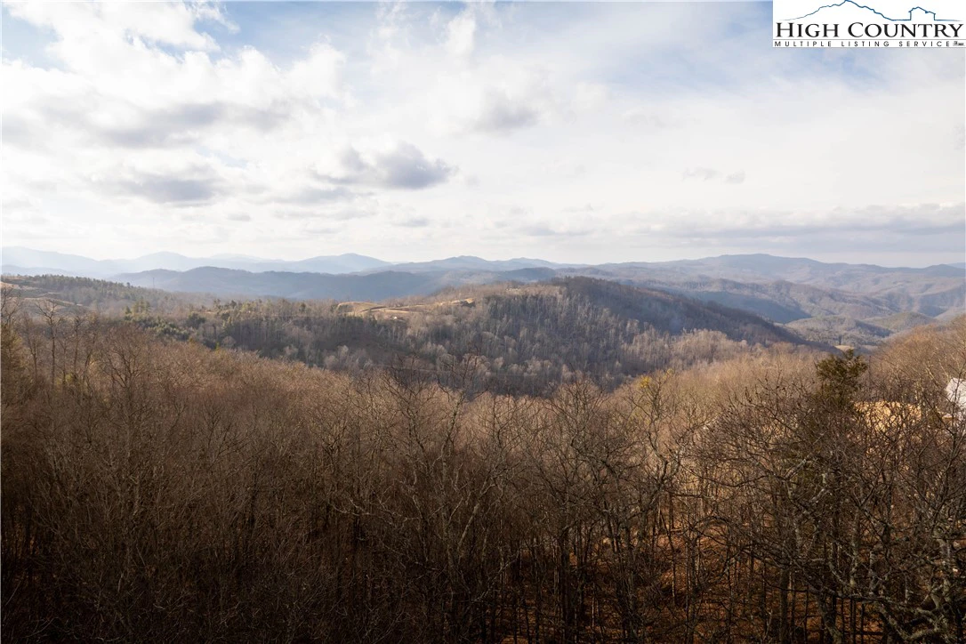 Image number 1 for the current listing