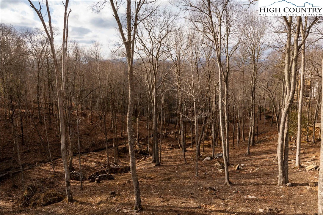 Image number 18 for the current listing