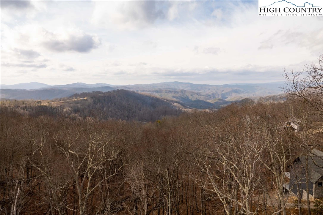 Image number 13 for the current listing