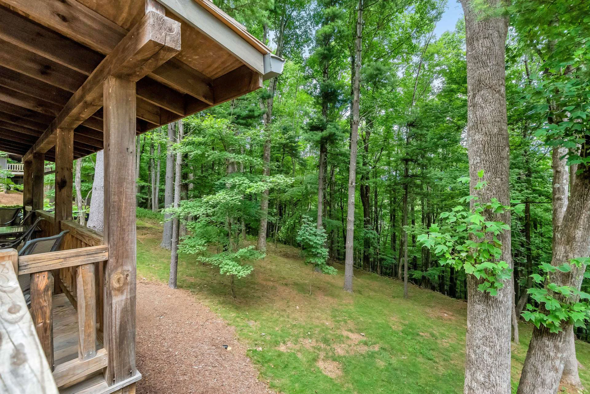 Image number 16 for the current listing
