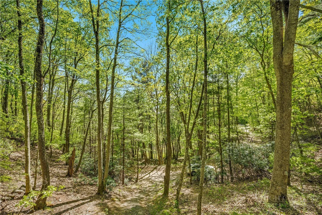 Image number 5 for the current listing