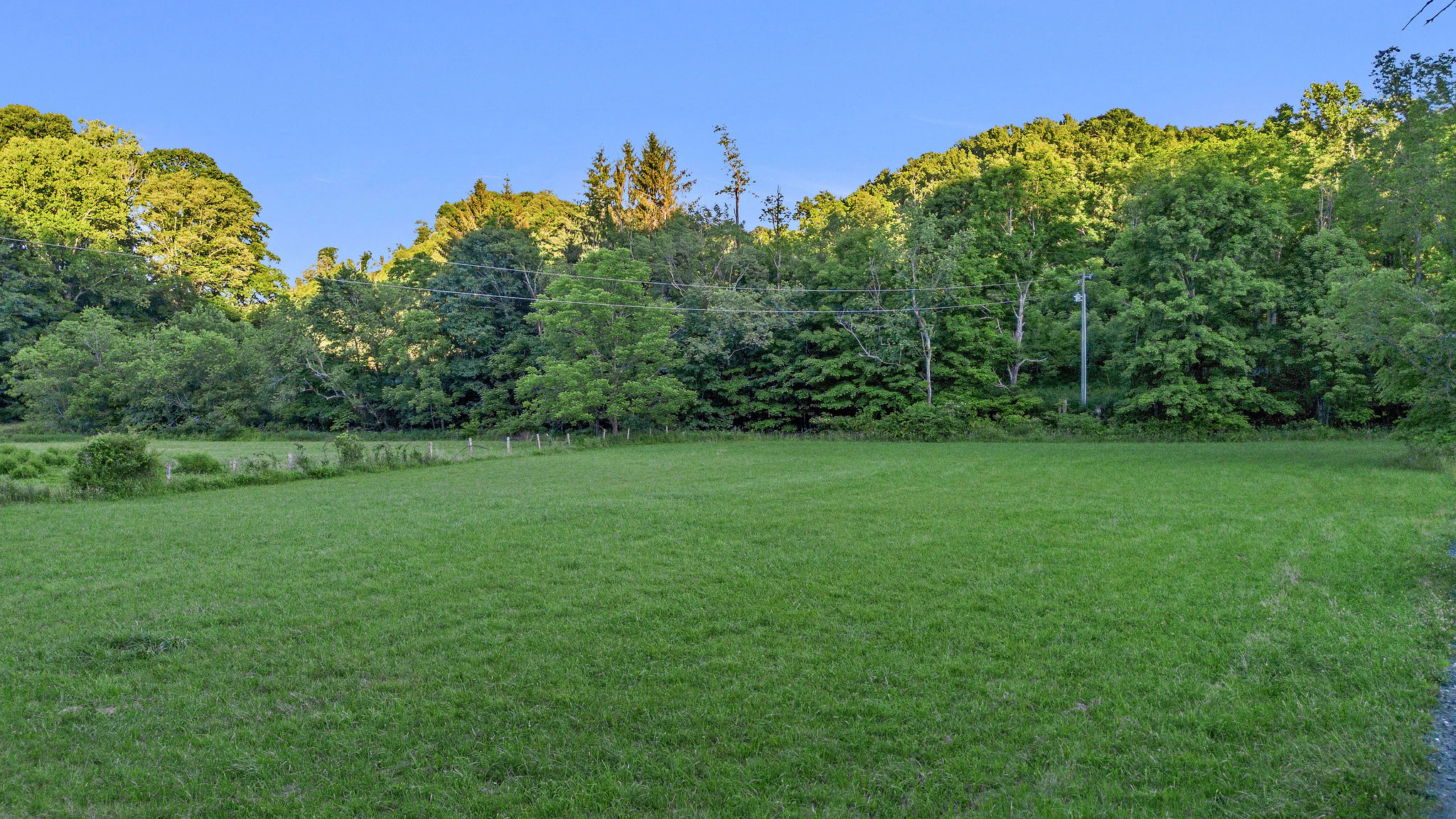 Image number 5 for the current listing