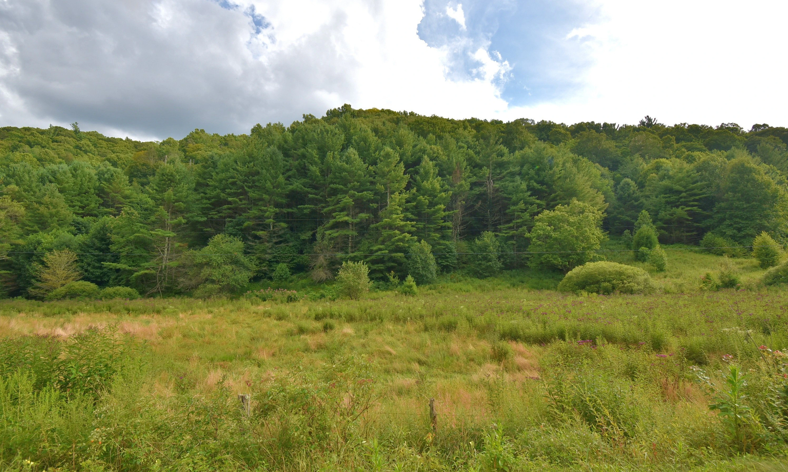 Image number 1 for the current listing