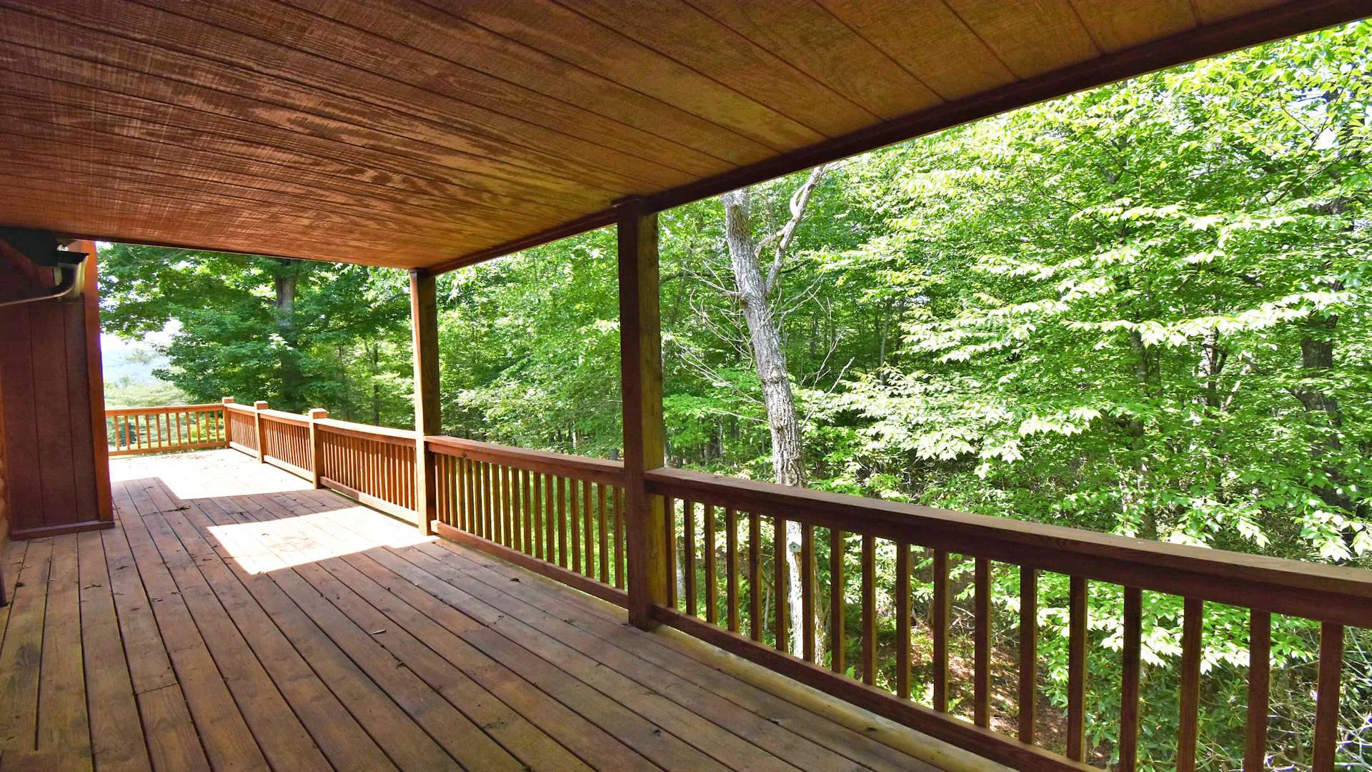 Image number 4 for the current listing