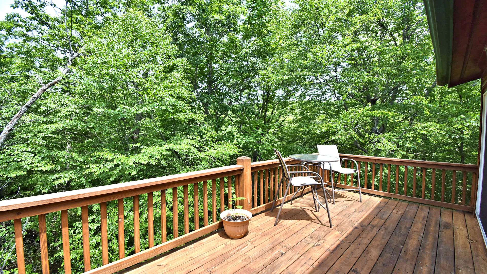 Image number 9 for the current listing