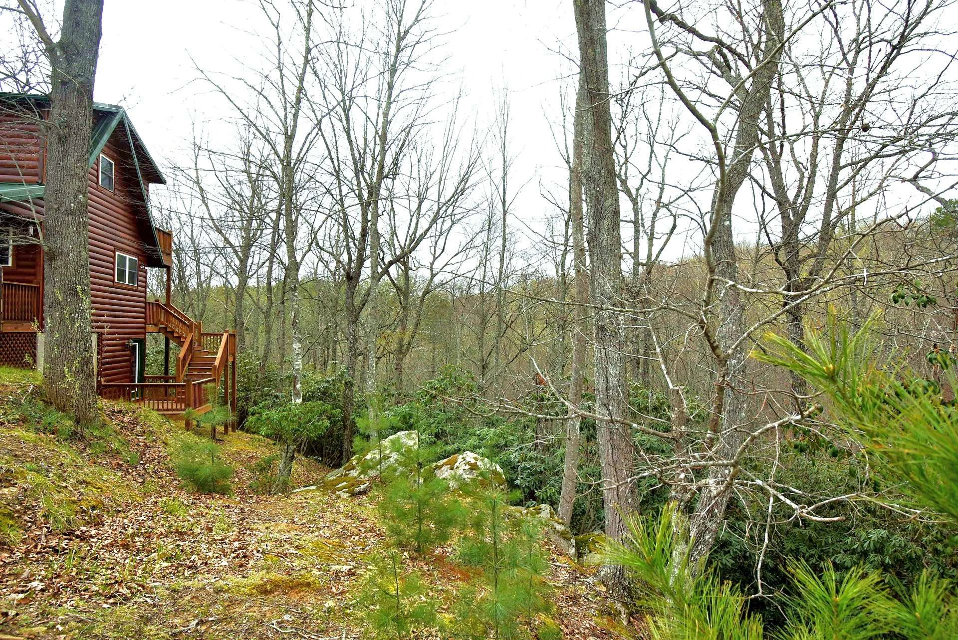 Image number 18 for the current listing