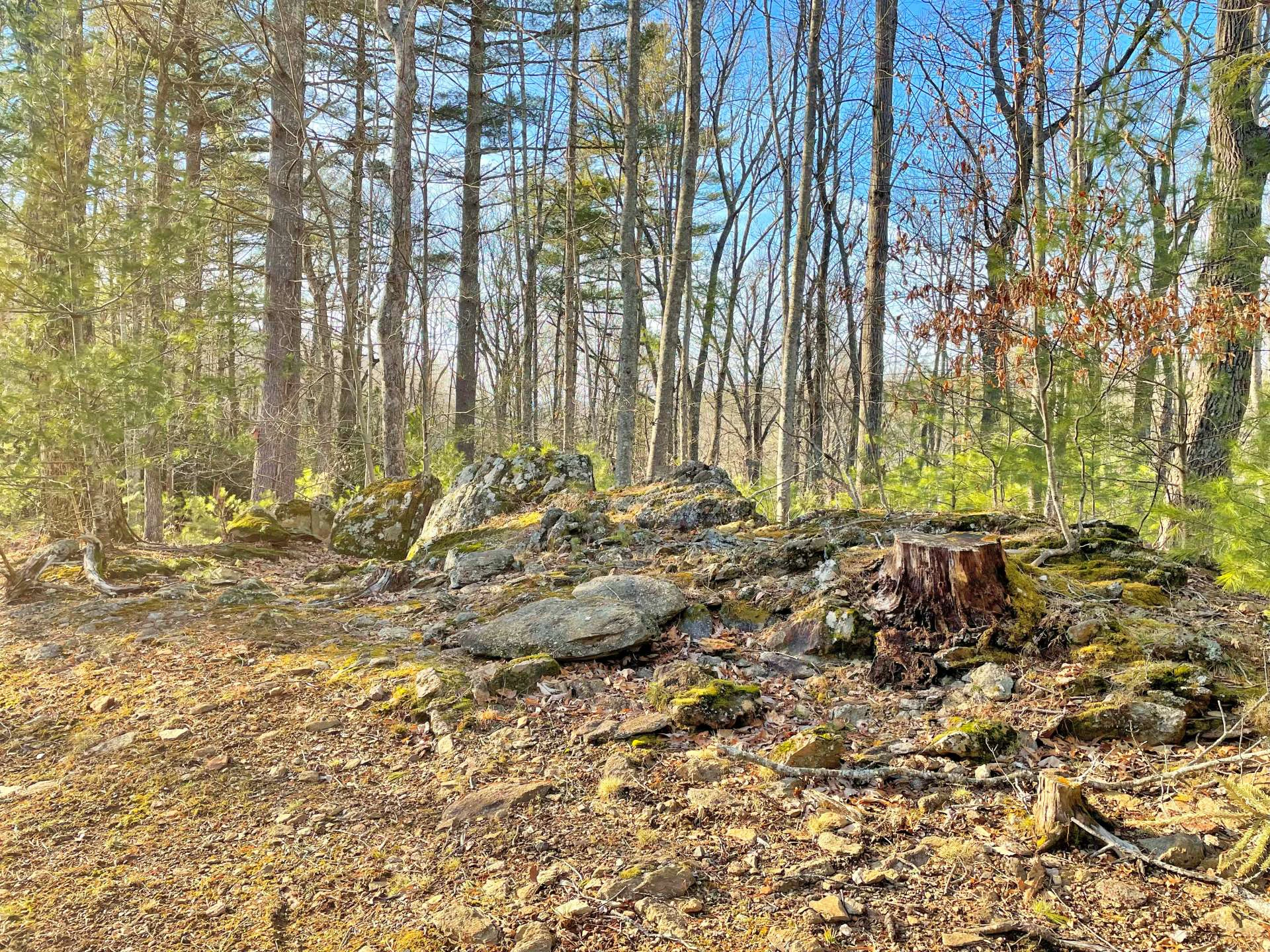 Image number 16 for the current listing