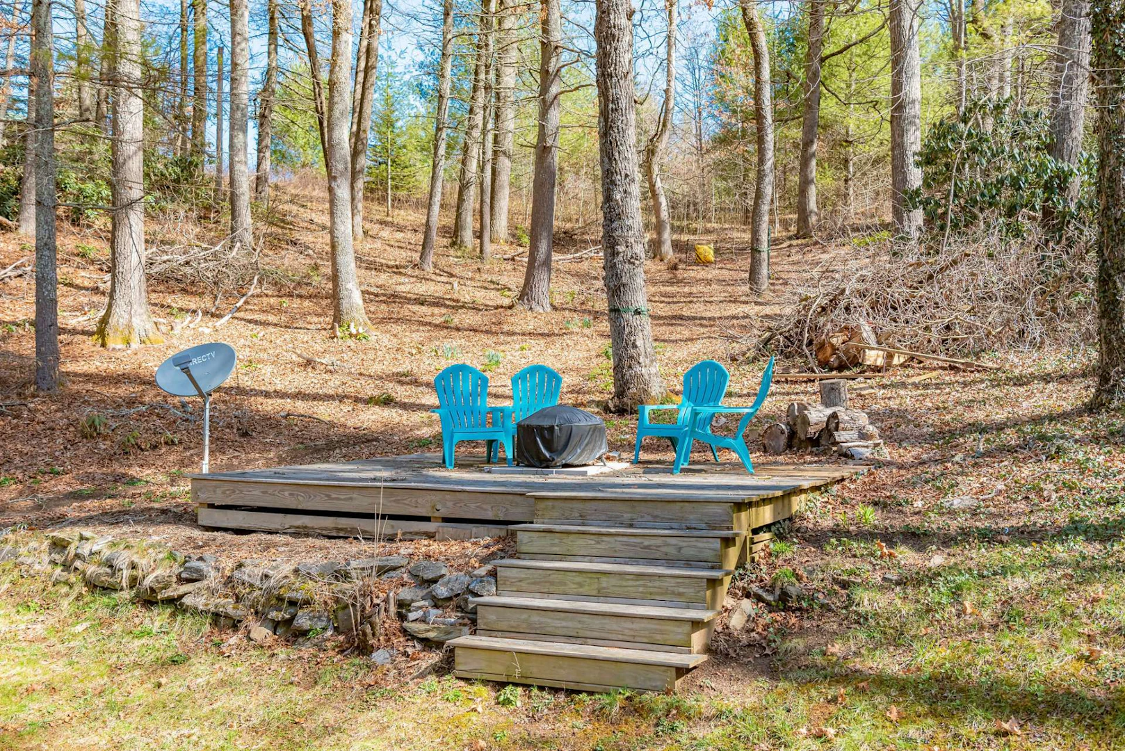 Image number 14 for the current listing