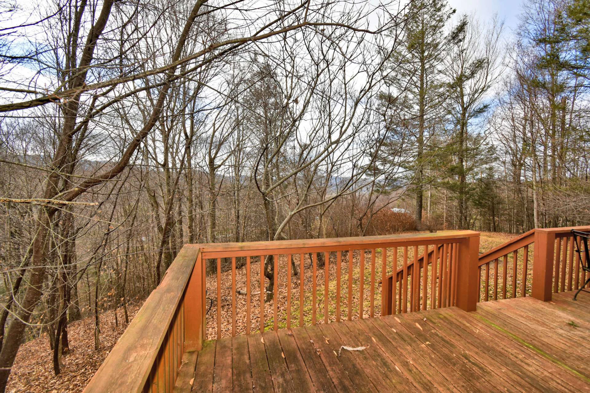 Image number 11 for the current listing