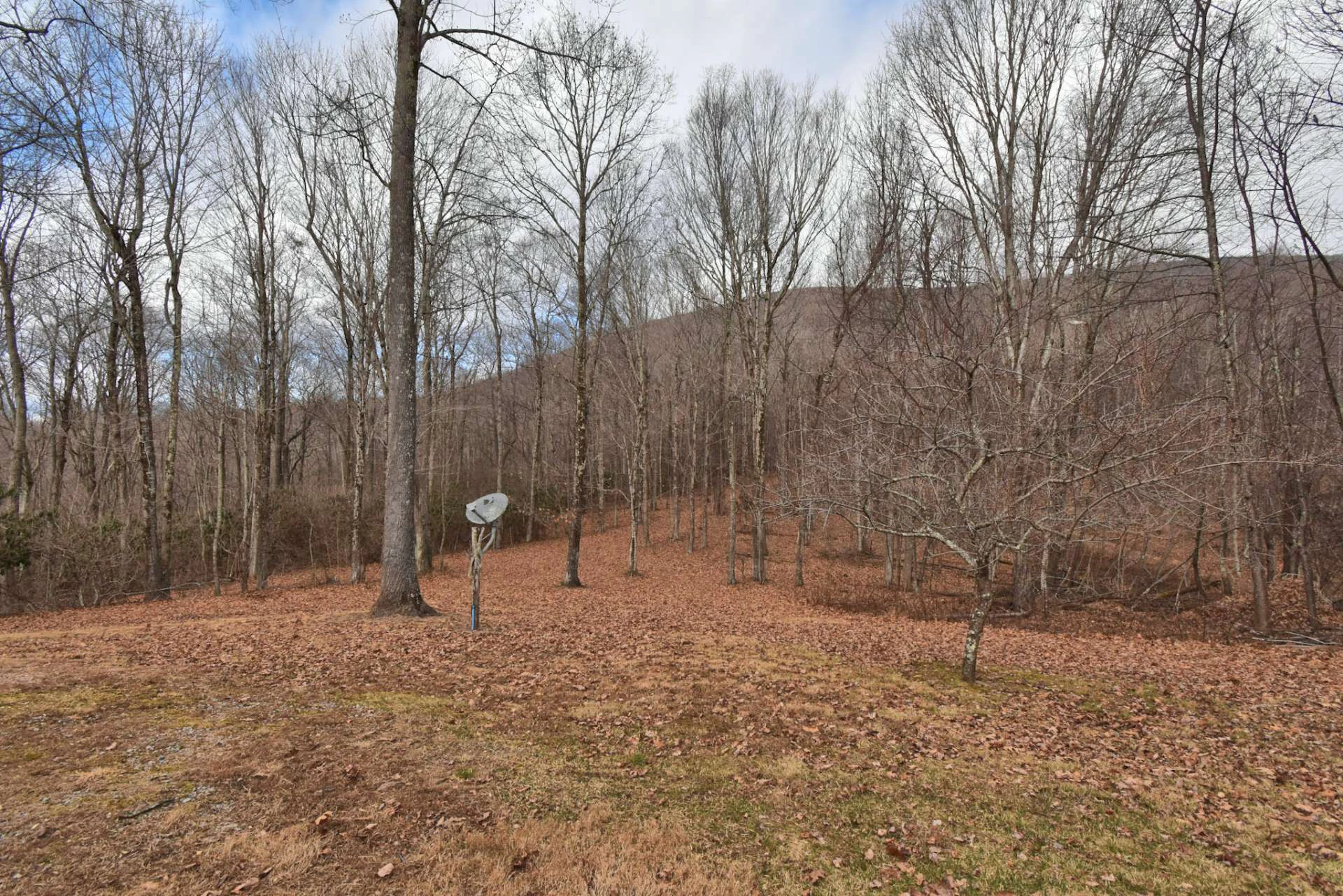 Image number 7 for the current listing