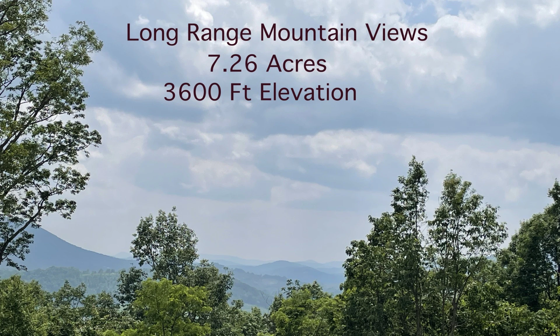 Image number 1 for the current listing