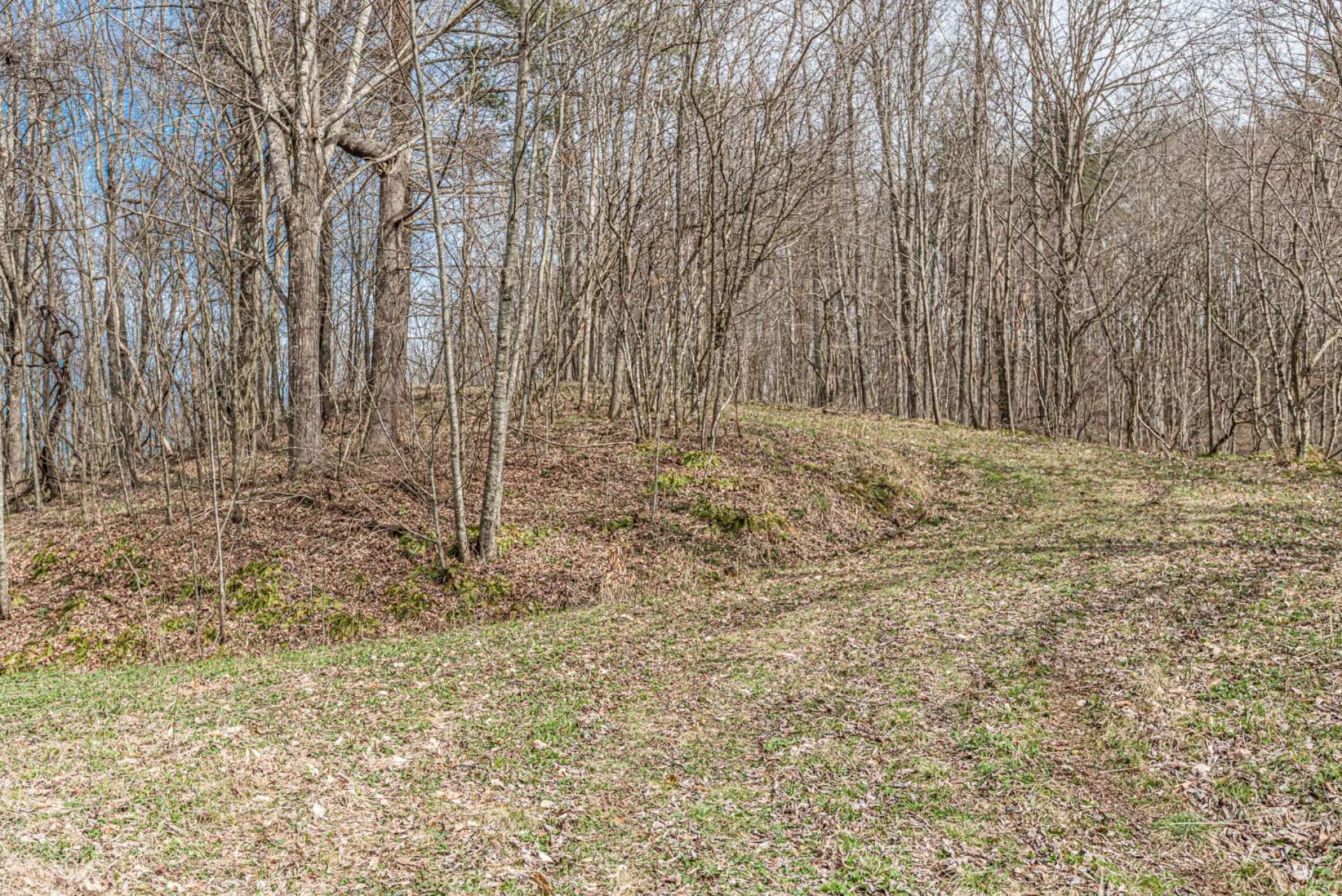 Image number 5 for the current listing
