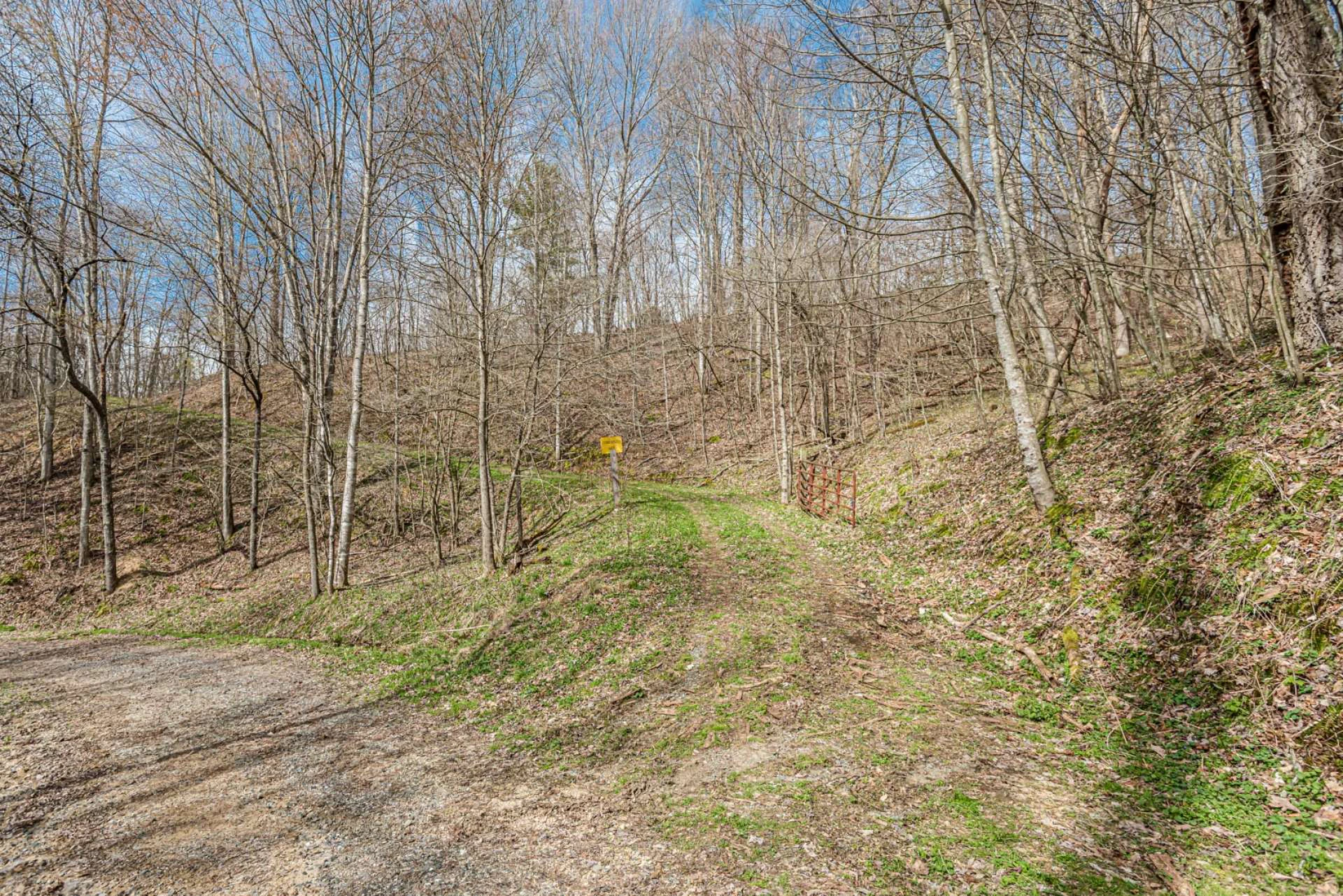 Image number 6 for the current listing
