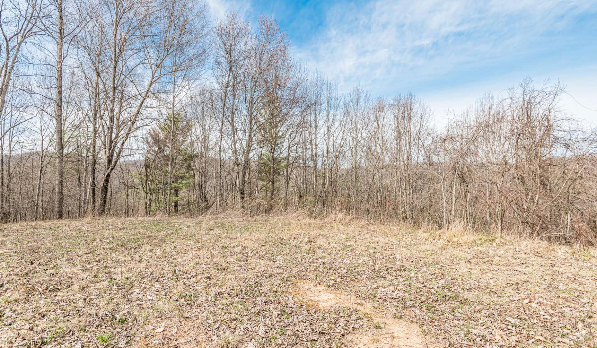 Image number 3 for the current listing