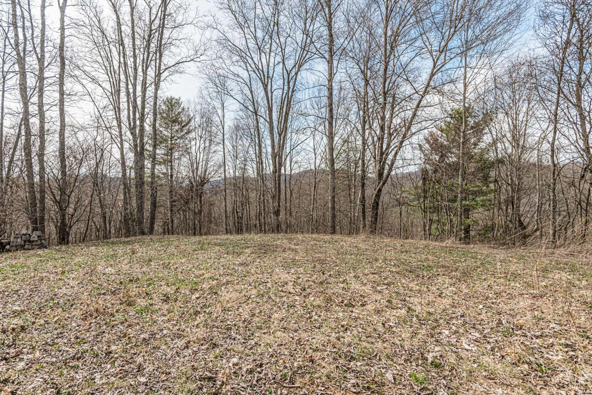 Image number 4 for the current listing